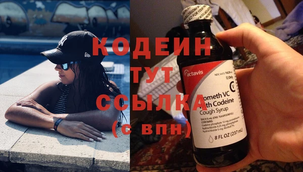 соль ск Вяземский
