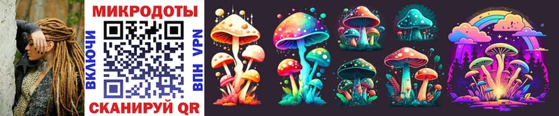 Псилоцибиновые грибы MAGIC MUSHROOMS блэк спрут зеркало Александров
